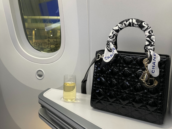 Handbag on plane on sale